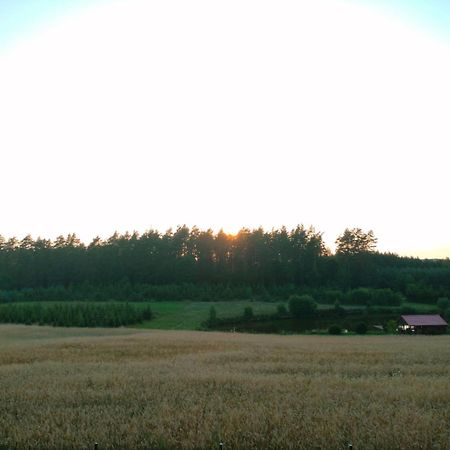 Agroturystyka U Kasi Suryty Exterior photo