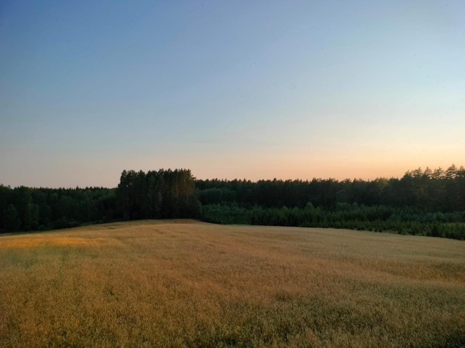 Agroturystyka U Kasi Suryty Exterior photo